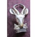 Large SA Infantry Springbok Cap Badge