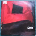 BILLY JOEL VINTAGE LP - STORM FRONT