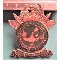Large Civil Defence - Burgerlike Beskerming Enammelled Cap Badge