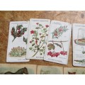 John Player & Sons Vintage Cigarette Cards Lot - 1 Bid