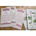 John Player & Sons Vintage Cigarette Cards Lot - 1 Bid