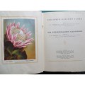 SA Flora - Cigarette Cards Album - +- 90/100 present + Butterfly Prints