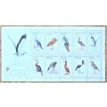 Waterbirds of South Africa UMM Sheet