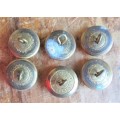 6 x Small Royal British Navy Buttons -  1 Bid for all