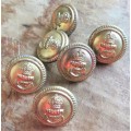 6 x Small Royal British Navy Buttons -  1 Bid for all