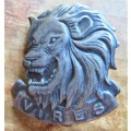 SA Army `VIRES` Lion Badge