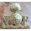 Royal Northumberland Fusiliers Badge