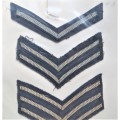 File with Military Rank Insignia Patches - 1 Bid for All
