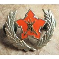 Citizen Force 5 years service Army Badge