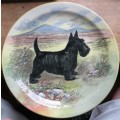 Royal Doulton Scottish Terrier Plate - 265mm