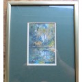 SA Artist - JILL MIEKLE - Original Water Colour -  265mm x 330mm
