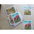 SA Protea Set on Cover + Mint Protea Stamps Set