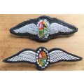 SA AIRFORCE WINGS - Material & Rubber Types - 1 Bid for Both