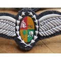 SA AIRFORCE WINGS - Material & Rubber Types - 1 Bid for Both