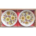 The Royal Worcester Group - Small Plates in Box - Palissy