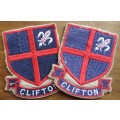 Pair of Embroidered Clifton Badges