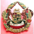 SA Prisons Service WO Arm Badge