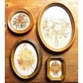 Pressed flowers framed with glass Collection - All for 1 Bid