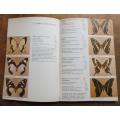 Butterflies of the Kruger National Park - J.Kl,oppers & Dr G.Van Son