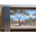 Small Jac Pienaar Original Oil , Bush Landscape Scene