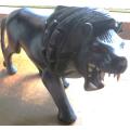 Antique One of a Kind - Lion Solid Hand Carved Ebonized Mahogany - see pics for small repairs