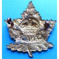 Canadian Expeditionary Force WW! Cap Badge SCARCE
