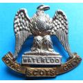 Royal Scots Greys Cap Badge Scottish