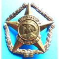 SOUTH AFRICA Defence Force (SADF) - Regiment Botha Cap Badge