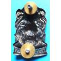 SWA Territorial Force Reaction Badge - Lion with Semper Pugnans