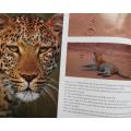 Wild Kruger - Bailey & Young - Excellent Photographs
