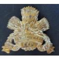 South African Army Special Service Battalion Cap Badge 1 lug