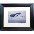 Joe Marais - Whale - signed & framed Print