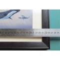 Joe Marais - Whale - signed & framed Print