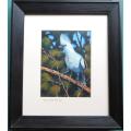 Joe Marais - Bird - signed & framed Print