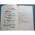 South African Fishes - K.H Barnard