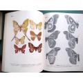 Emperor Moths of South & South Central Africa - Elliot Pinhey 1972