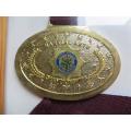 SAPS Martial Arts Medals in Frame
