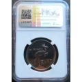 1981 SA R1 Coin - NGC Graded MS65 - Only 7 graded higher
