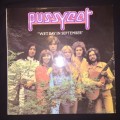 Pussycat - Wet Day In September (LP) Vinyl Record