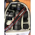 CANON 5D MARK II WITH SIGMA 50-500 LENS, BAG, EXTRA BATTERY AND SD CARDS