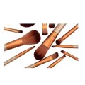 12 Piece Metallic Cosmetic Brush Set