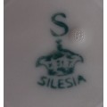Silesia plate