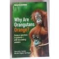 Why are Orangutans orange