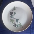 Vintage Pioneer Porcelain plate