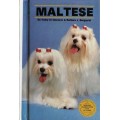 Maltese by Kathy Di Giacomo