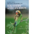 Spectacular world of Southern African birds