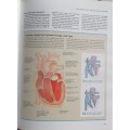 Reader`s digest The body book