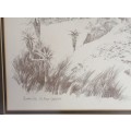 Framed P de Wet pencil sketch: Eureka City De Kaap Goldfields