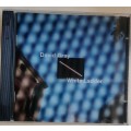 David Grey - White ladder cd