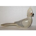 Birds of Africa Collection `Grey Lourie` Limited Edition Bird Figurine @@@ CCCRRRAAAZZZYYY R1 START